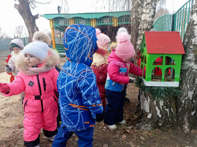 Кормление зимующих птиц. Кормление зимующих птиц.